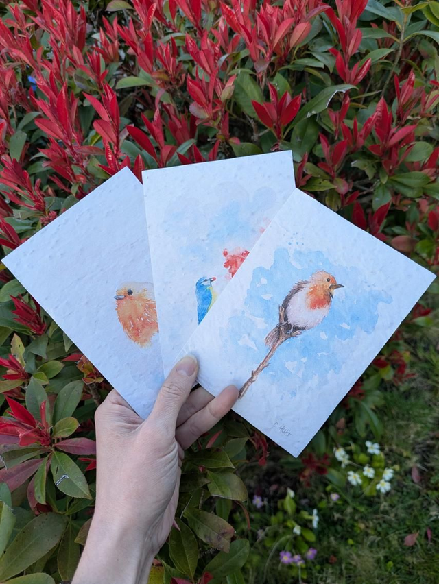 Carte à planter oiseaux, mésange ou rouge-gorge