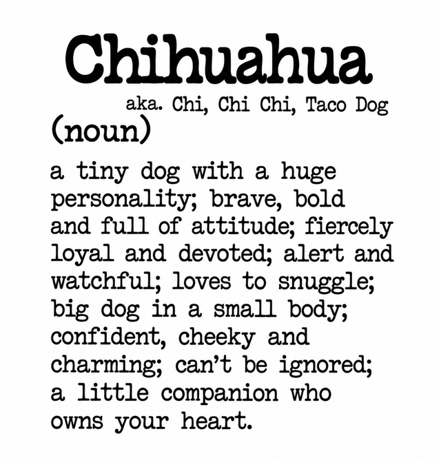 Dog Breed Definition Mug – Chihuahua | Funny Dog Lover Gift