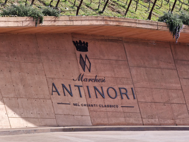 Private Wine Tour Tuscany Wines &amp; Wineries of Chianti Classico - Private Driver English speaking CHOOSE YOUR BEST OPTION: Tours, hours, type of Mercedes