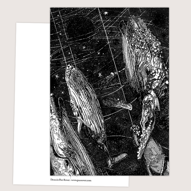 Carte &quot;Baleines&quot;