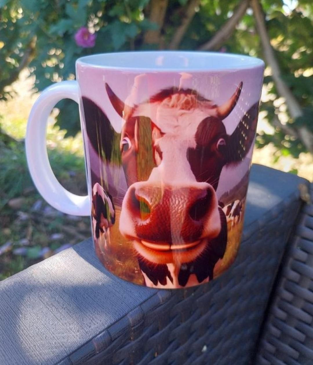 Mug vache rigolote