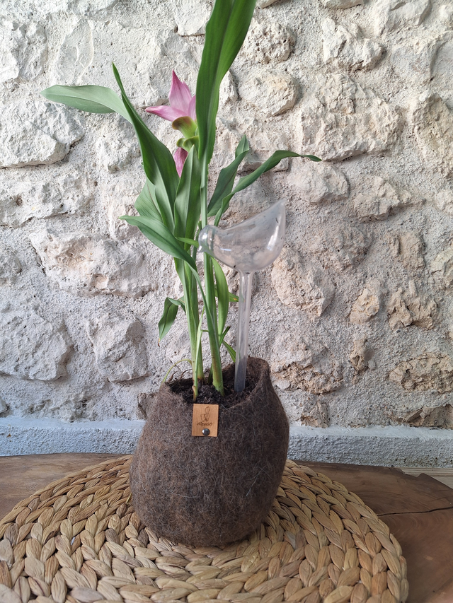 Pot fleuri - collection de trois