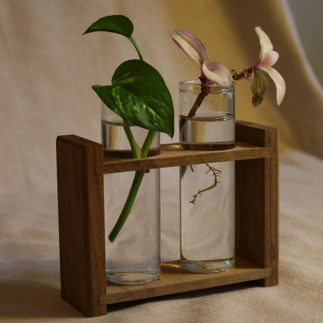 Station de bouturage DUO