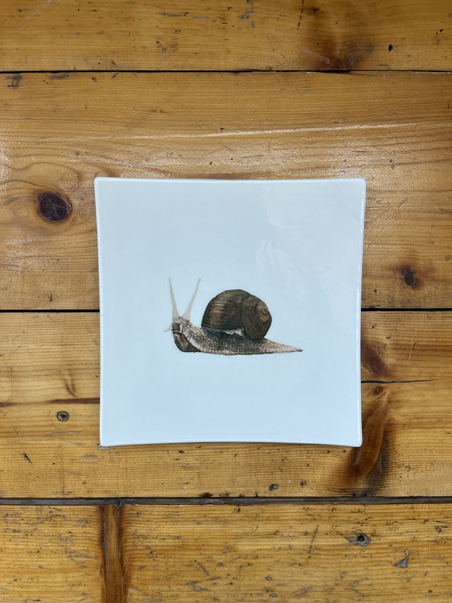 Teller China - Schnecke