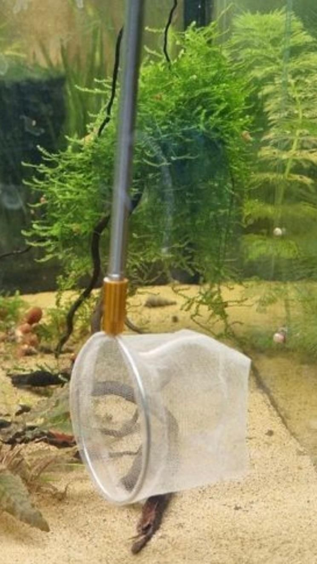 Epuisette Télescopique 3D 