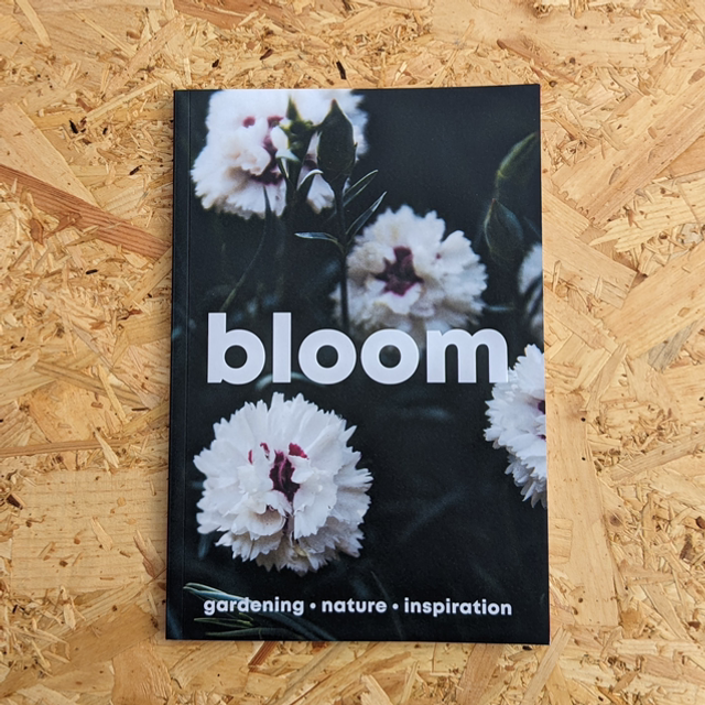 Bloom - issue 14