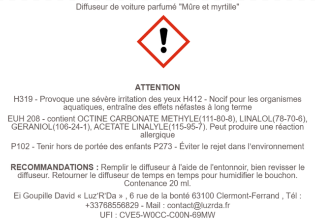 Diffuseur de parfum pour voiture "Mûre et myrtille"