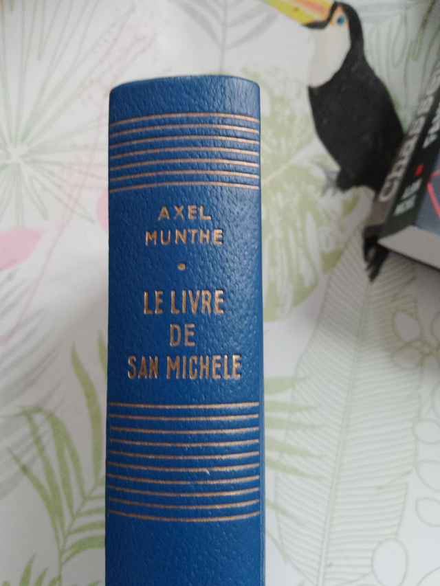 Le livre de San Michèle, Axel Munthe