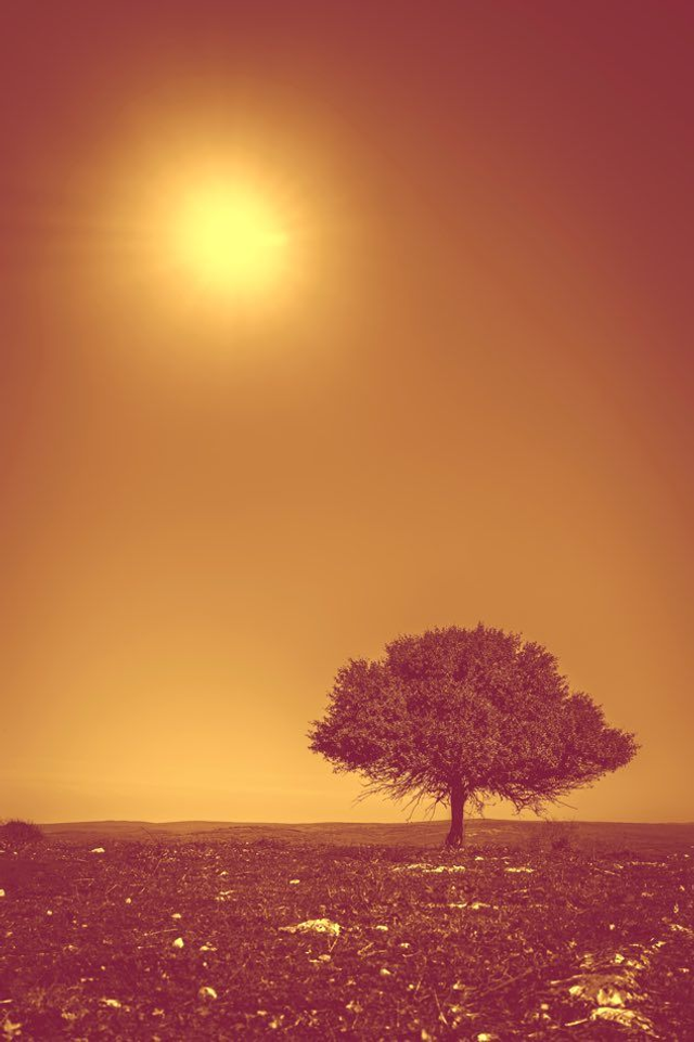 Dans la solitude, on trouve la résonance de son âme