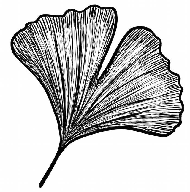 Stempel Ginkgo 4x4cm