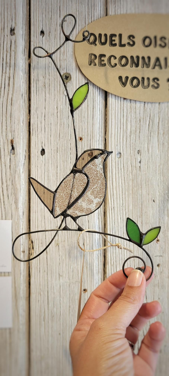 Le troglodyte mignon 