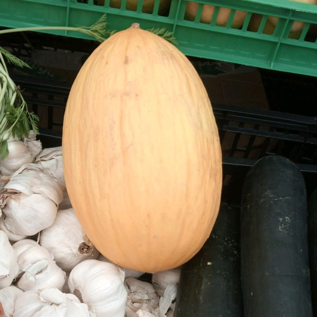 melón amarillo