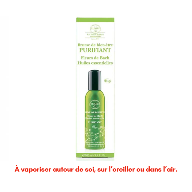Brume Purifiante ~ 100ml