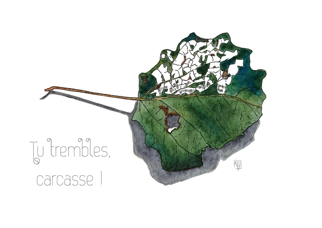 carte postale botanique - Feuille de tremble "Tu trembles carcasse"