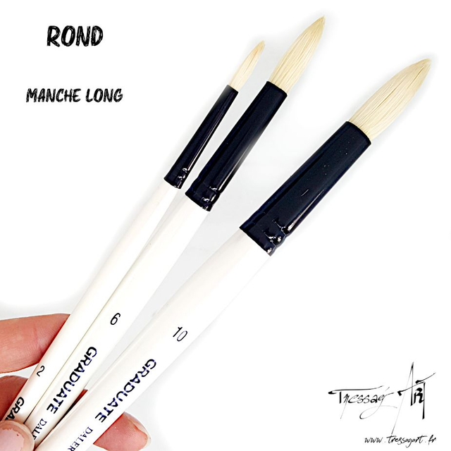 DALER ROWNEY - PINCEAU LONG UNITE - ROND - SOIE PORC - CA072