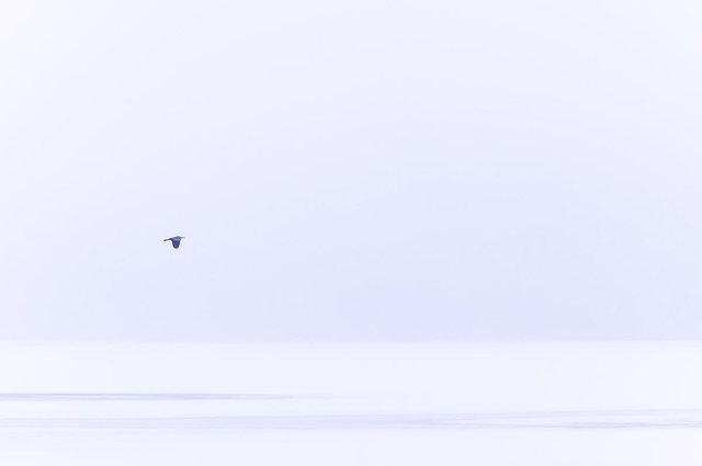 Solitude hivernale V