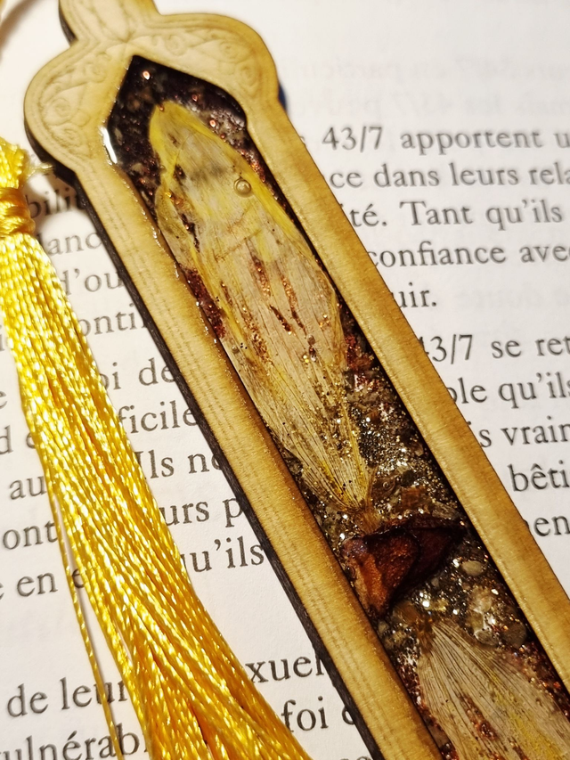 Marque-Grimoire #15 Tournesol, marjolaine et badiane