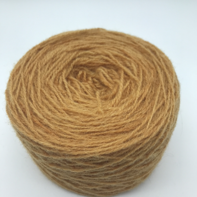 Belgolor #72 - Oignon jaune -