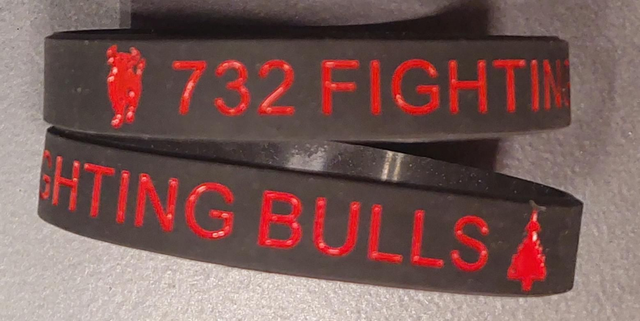 732 FIGHTING BULLS PVC Wristband