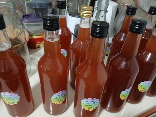 KOMBUCHA 