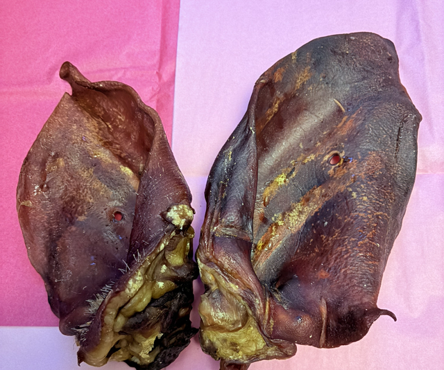 Extra Large Grade A Pigs ears 