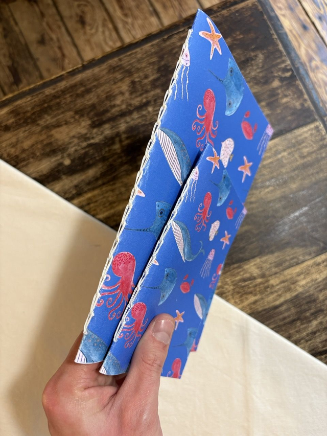 Océan – Carnet A5 / A6