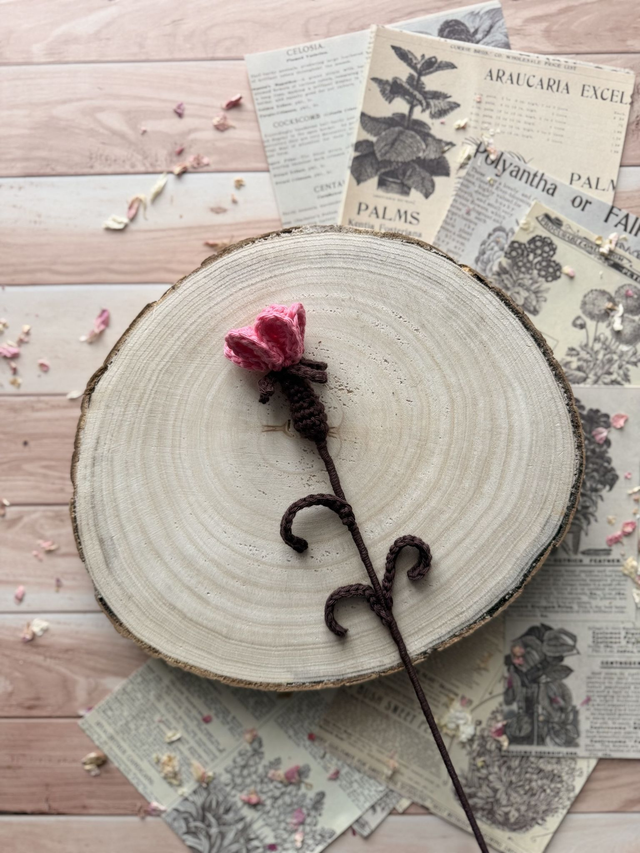 Bourgeon de nielle des blés (personnalisable pour créer votre bouquet )