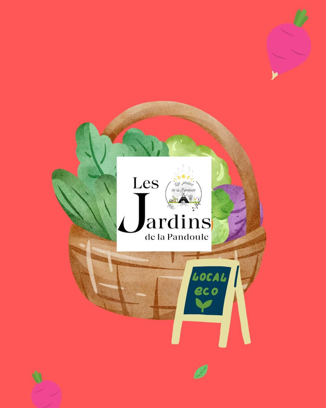 𝗣𝗔𝗡𝗜𝗘𝗥 𝗟𝗘𝗚𝗨𝗠𝗘𝗦 