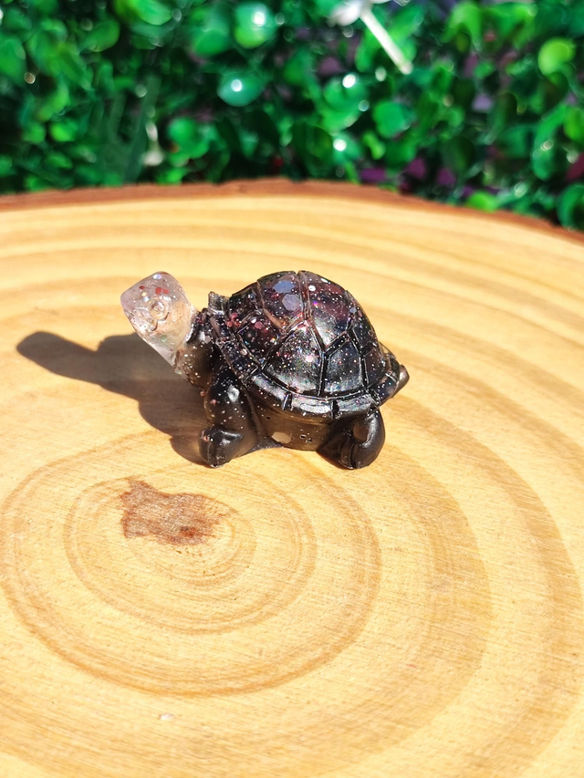 Tortue terrestre