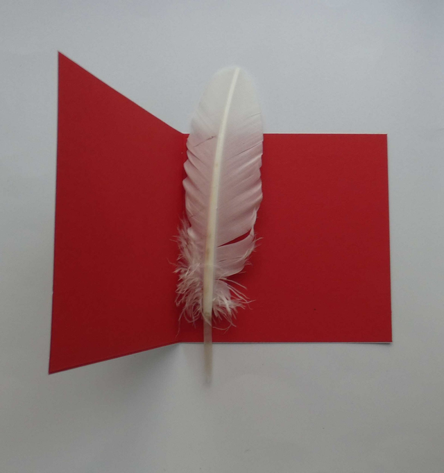 Bonnes fêtes avec l'ours