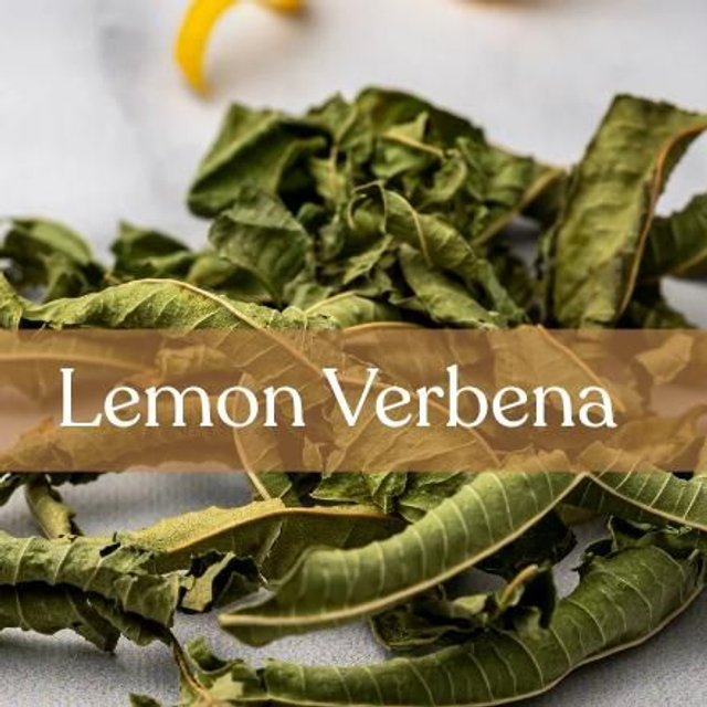 Lemon Verbena | Solar Ritual Curio | Ancestral Wisdom &amp; Folk Magic