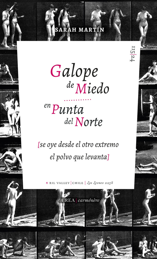 Galo de Miedo en Punta del Norte - Sarah Martín
