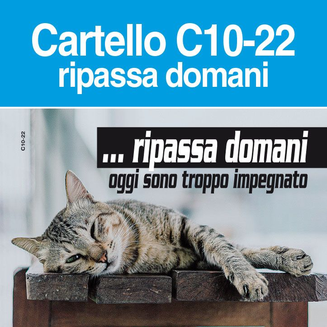 Ripassa Domani C10-22
