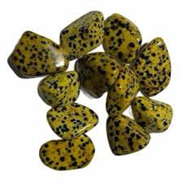 Yellow Dalmatian Jasper 