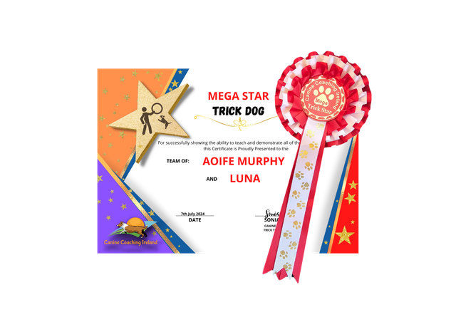 L3 Mega-Cert &amp; Rosette