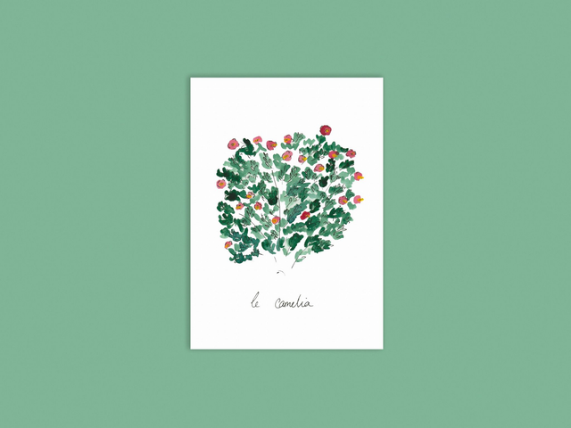 Carte camélia