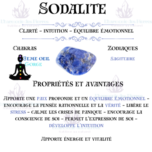 Boucles d'oreille " Cléa " en Sodalite