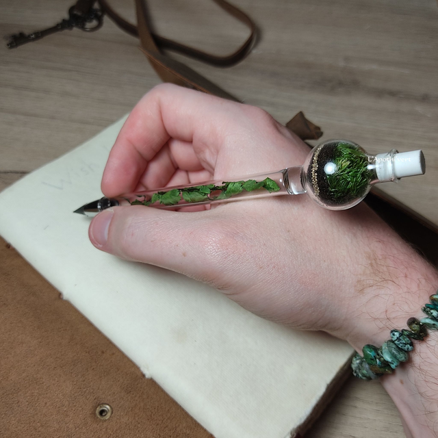 Crayon Éternel Terrarium