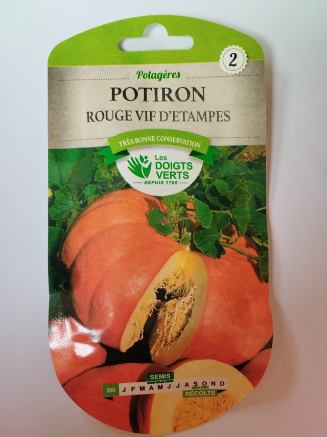 Potiron Rouge vif d&#039;Etampes
