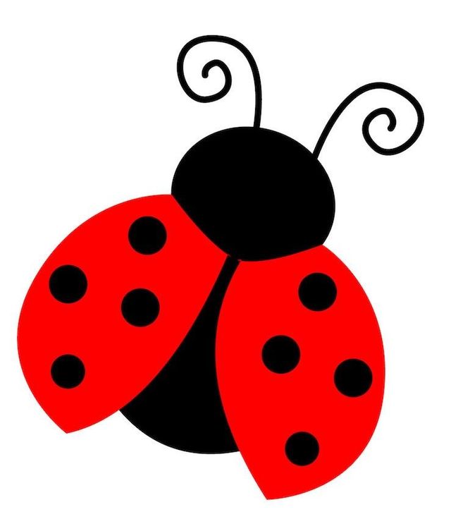 Porte-clé Coccinelle