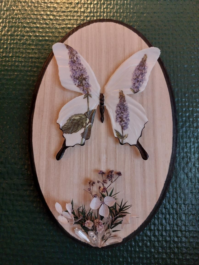 Cadre en bois avec un papillon lavande