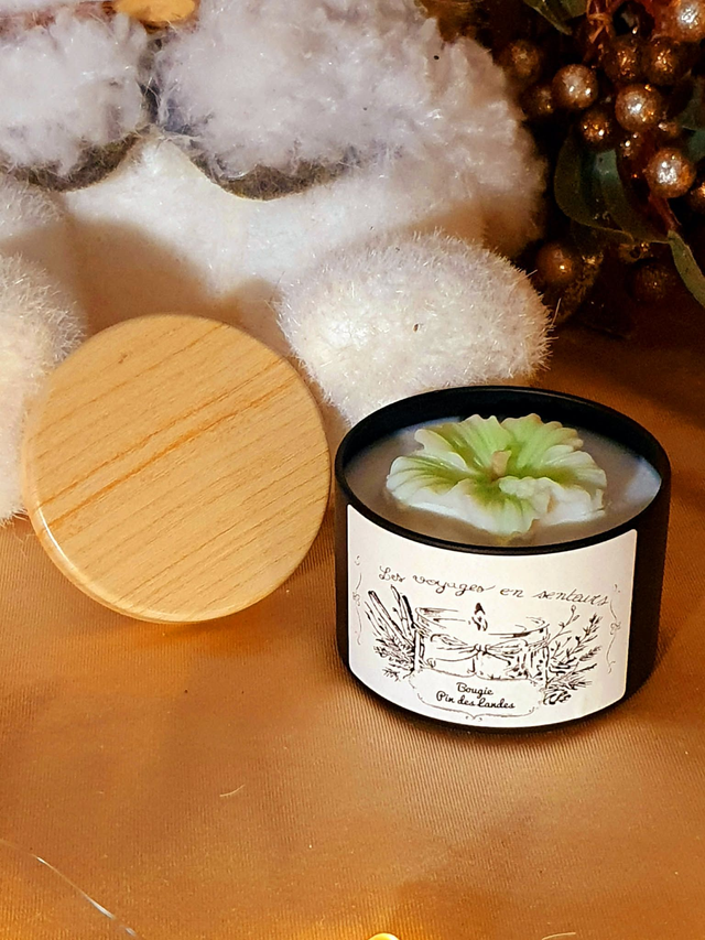 Bougie Pin des Landes (Hibiscus)