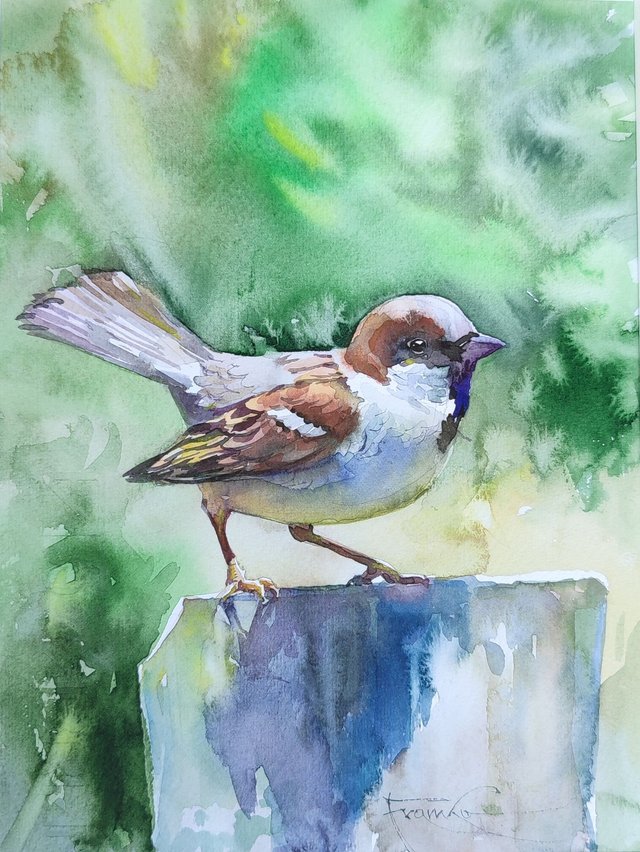 Mazurek, 35x28 (24x18 w świetle passe-partout) akwarela 2024