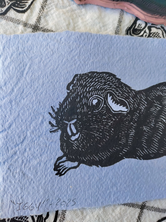 linogravure " Iggy" , cochon d'inde noir 10X15 cm