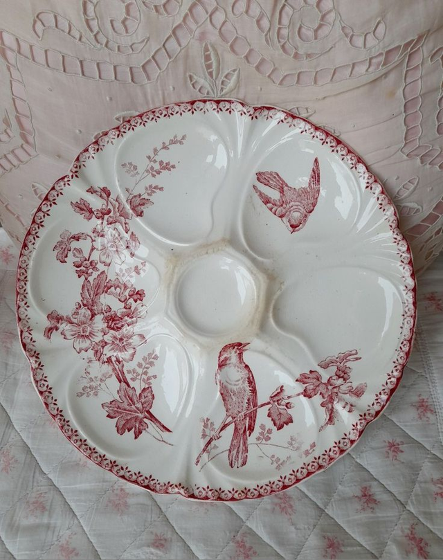 Plat à huîtres aux oiseaux