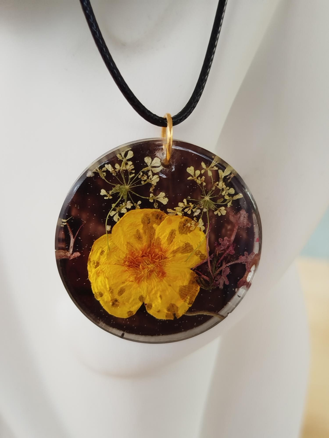 La Nature en contraste