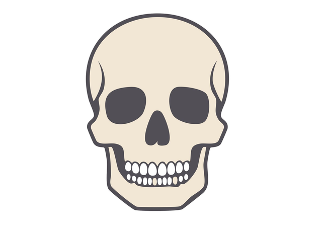 Boucles d&#039;oreilles Skull