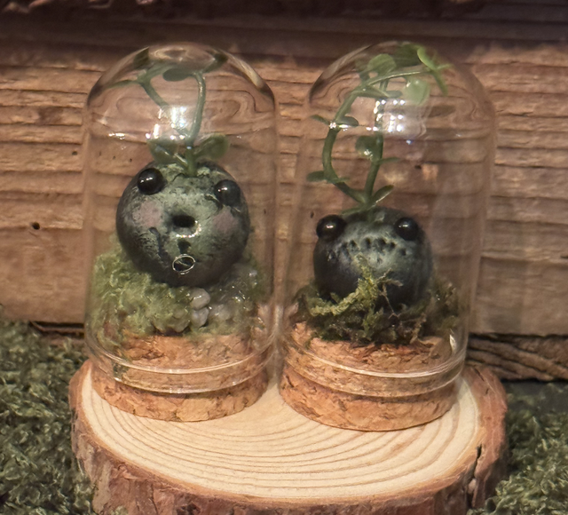 Seedlings in Terrarium x2