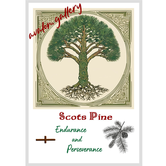 16. Scots Pine - 'Endurance and Perseverance'