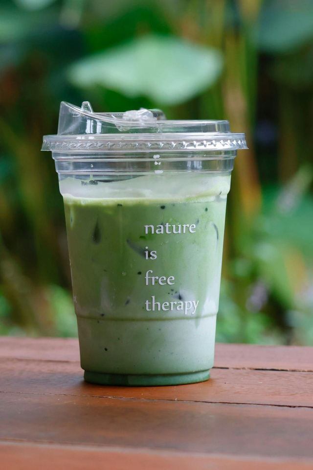 Matcha latte nature
